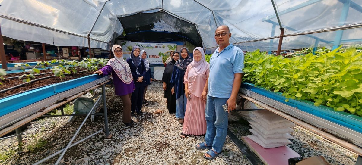 (已签发)柔:封面特稿:居委会种出热销品 金山园社区菜园成楷模