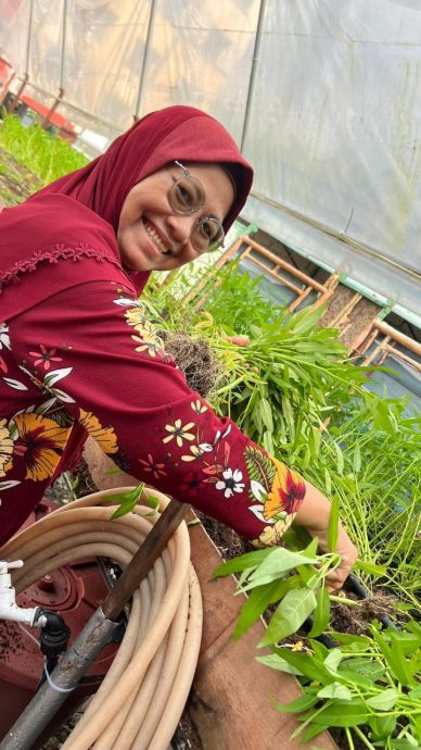 (已签发)柔:封面特稿:居委会种出热销品 金山园社区菜园成楷模