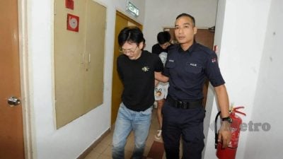 涉贩运藏毒13公斤   4男女面5控状