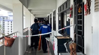 为继承养母组屋挥菜刀砍死养父 养女承认误杀罪
