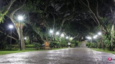 公园走道青苔致骑车滑倒 公园局：将重新铺设