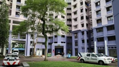 担心被赶出家门 乱刀砍死养父 女子判监18年