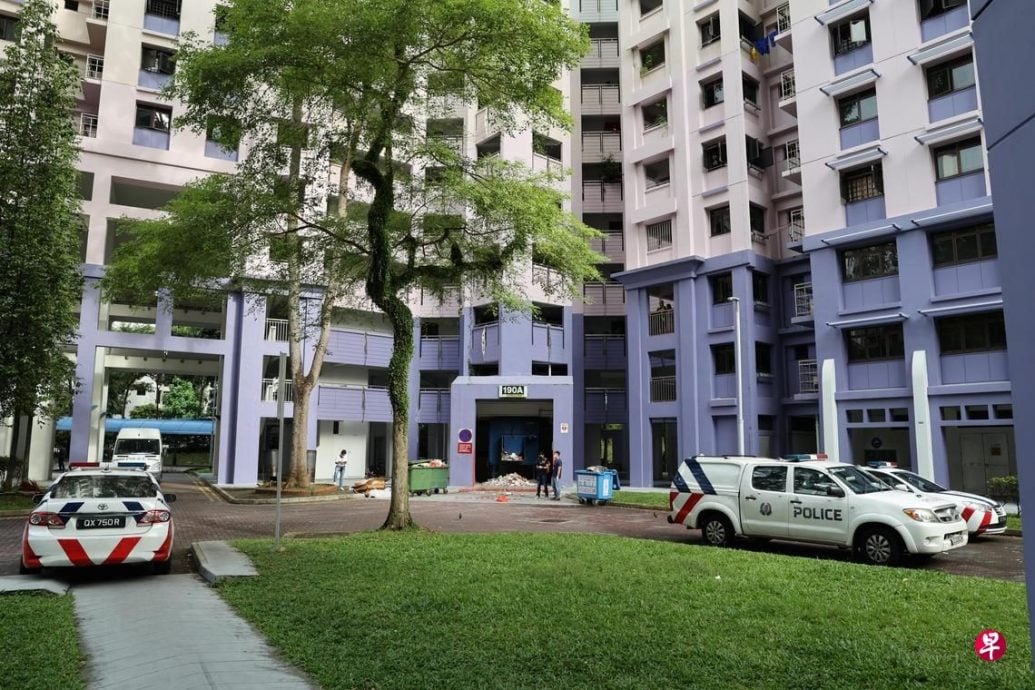 (已签发)柔:狮城二三事:担心被赶出家门 乱刀砍死养父 女子判监18年
