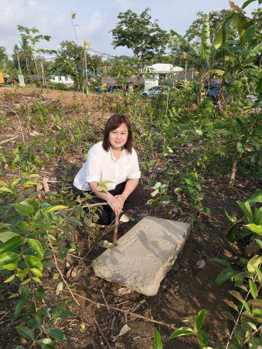 （已签发）柔：百万镇私人地段发现百年古墓碑　管委会呼吁后人尽快联络