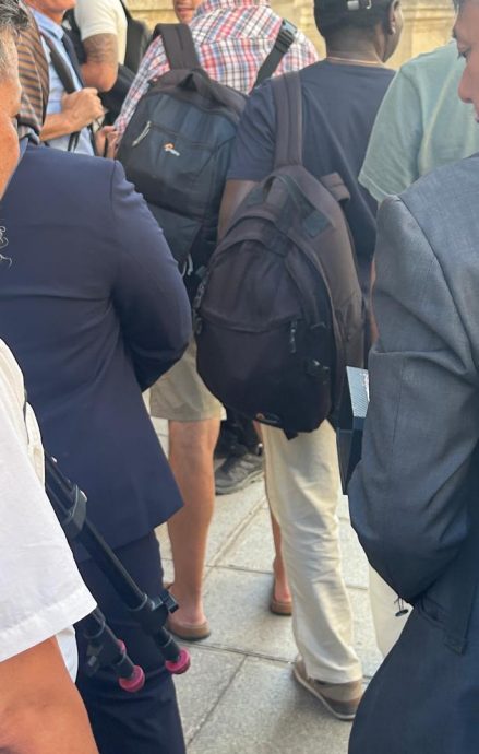 （请帮忙签发）大场面小镜头/安华马克龙联合记者会（2图）