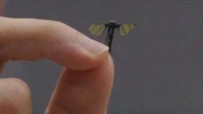 【科技简讯】这不是普通的“蚊子”，中国研发微型侦察机器人