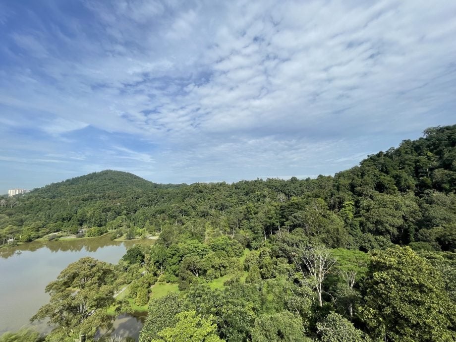 FRIM雪州森林保护区获UNESCO认证 成大马第6项世界遗产！