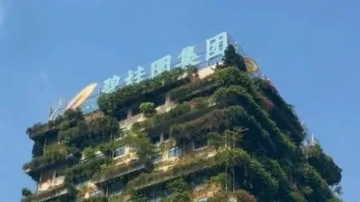 碧桂园6月销售恶化