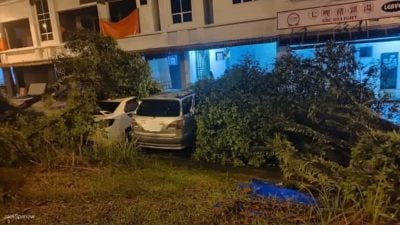 深夜强风暴雨吹袭  多处发生树倒压车