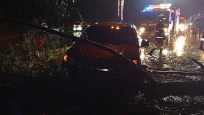暴雨中突断裂  树干掉落击中轿车