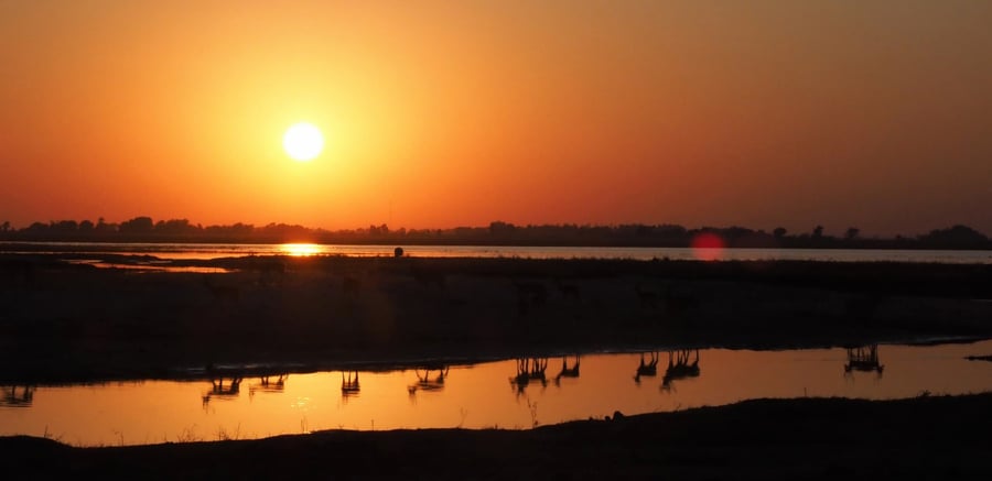 Kim Teoh／高角羚的倒影和剪影