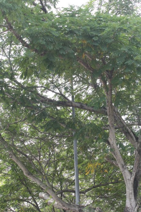 me05-大都会/余保凭有段装路灯及拓宽道路课题/4图