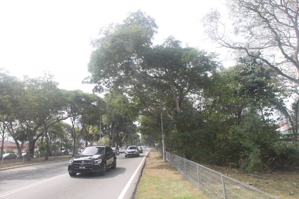 me05-大都会/余保凭有段装路灯及拓宽道路课题/4图