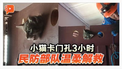 小猫卡门孔3小时 民防部队温柔解救