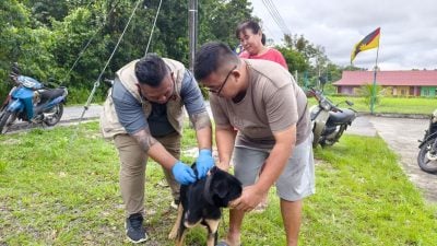 免费狂犬疫苗接种活动 周六在丹绒公集三一堂