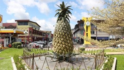 《我们的地标》∕ 泗里街：黄梨