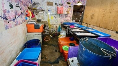 市议会移民局取缔“劳板”   捕16人关8商店