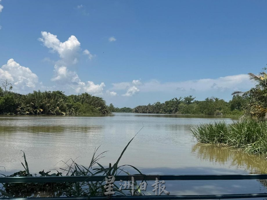 高渊观赏萤火虫恐熄灯