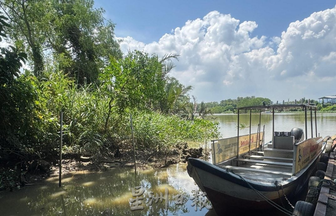 高渊观赏萤火虫恐熄灯