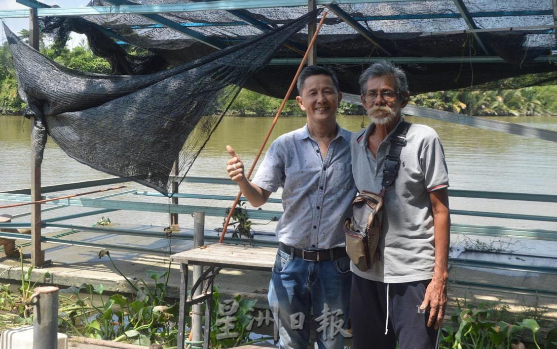 高渊观赏萤火虫恐熄灯