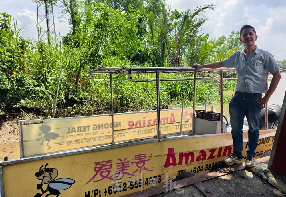 高渊观赏萤火虫恐熄灯