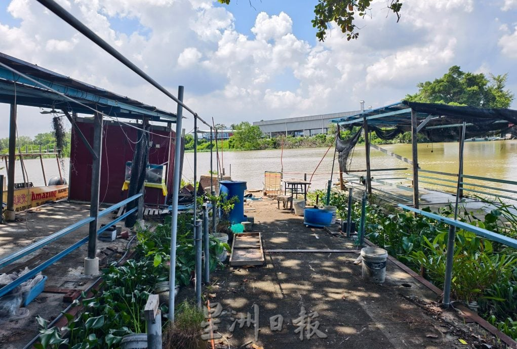 高渊观赏萤火虫恐熄灯