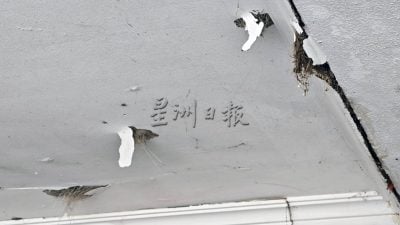 滋事者疑认错房子 年迈屋主夫妇遭爆炸物吓破胆