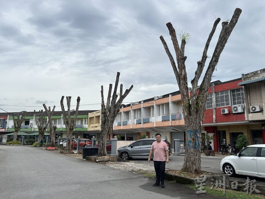 枝桠延伸店屋惹民忧　武吉则当商区树木终获修剪