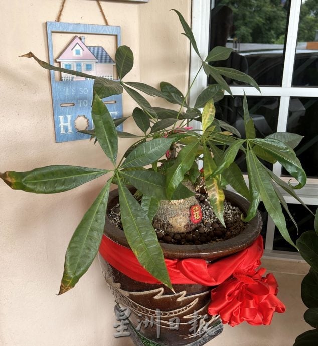 （古城第四版主文）【带你去找爱】：植物也需要爱