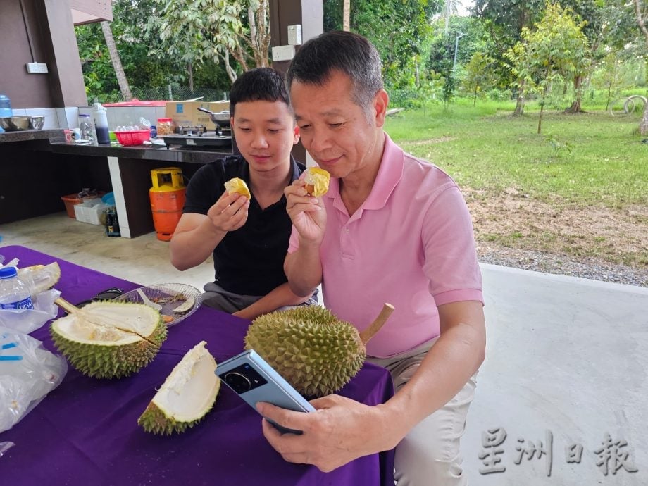 东(已签):丹那美拉坤玉榴梿引来国内外饕客追捧，货源抢手，导致售价上升到每公斤60至80令吉不等。