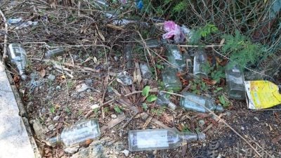 森4场所禁酒令获支持 居民盼解决酗酒扰民