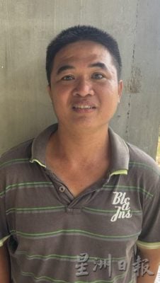 (已签发)柔:封面特稿:应对气候异常 榴梿树绑枝桠降风险