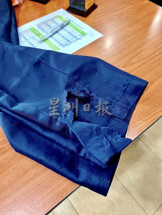 波中外流浪狗频追人 校长吁三管齐下解决问题