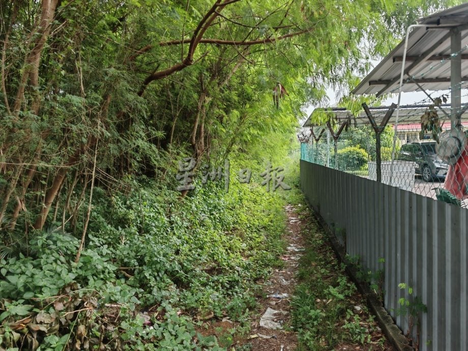 （古城封面副文）益智小学道路车速快，大桥看不清桥下路口常和进学校的车子发生意外