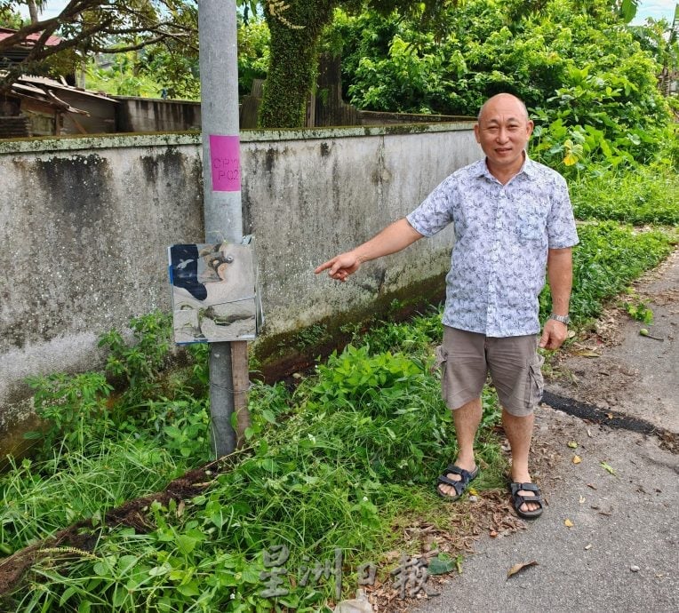 民生特工队:峇进步花园后巷“危树” 成居民心腹大患
