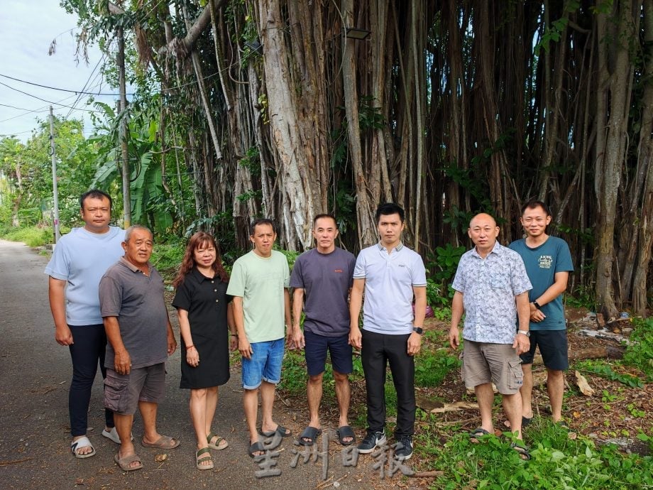 民生特工队:峇进步花园后巷“危树” 成居民心腹大患