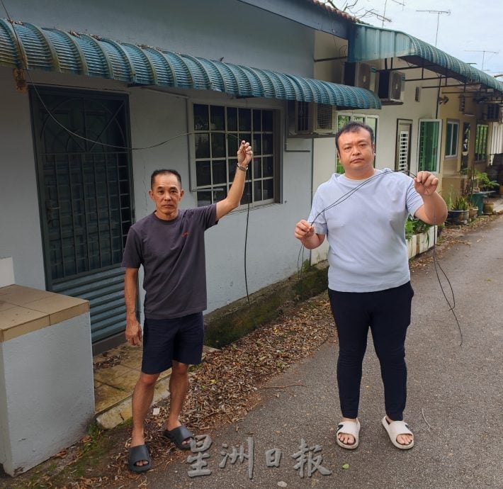 民生特工队:峇进步花园后巷“危树” 成居民心腹大患