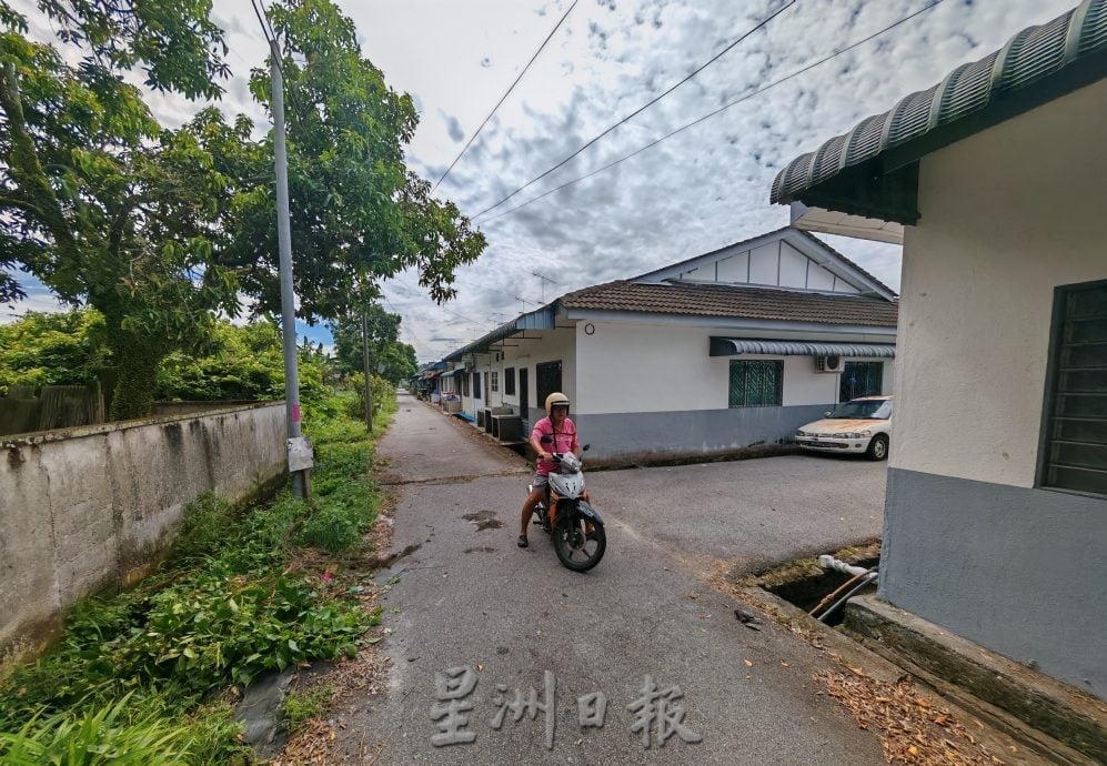 民生特工队:峇进步花园后巷“危树” 成居民心腹大患