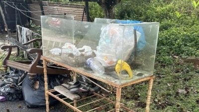 巴也隆布住区“空巷行动”  5户被令14内清理废物