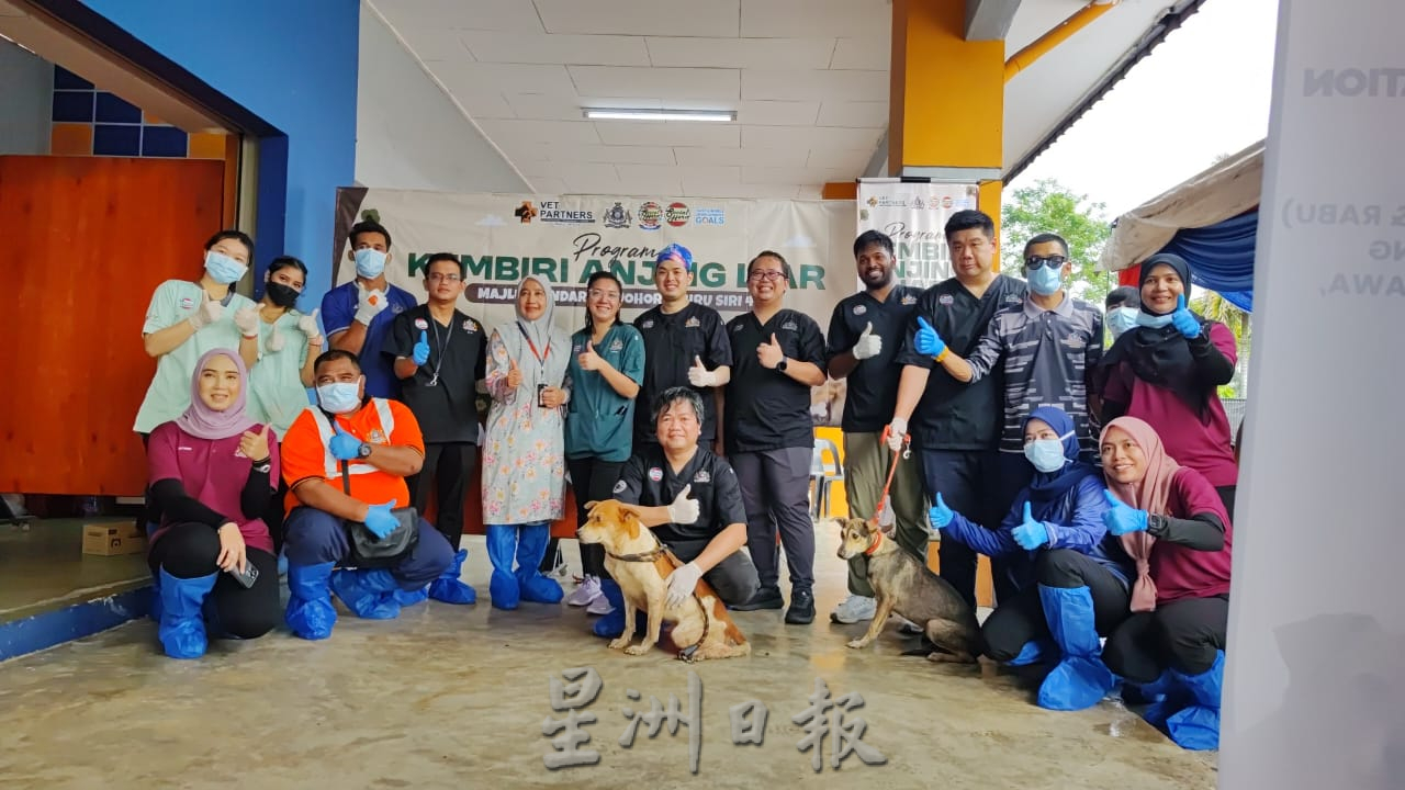 **暖势力**全国：暖势力：为流浪狗结扎  华巫印裔医护团队为社会献力