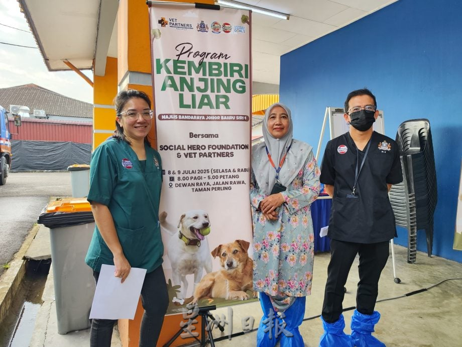 **暖势力**全国：暖势力：为流浪狗结扎  华巫印裔医护团队为社会献力