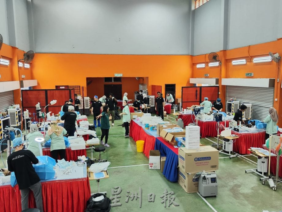 **暖势力**全国：暖势力：为流浪狗结扎  华巫印裔医护团队为社会献力