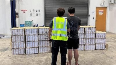 狮城关税局捕1男子   起1550条漏税烟