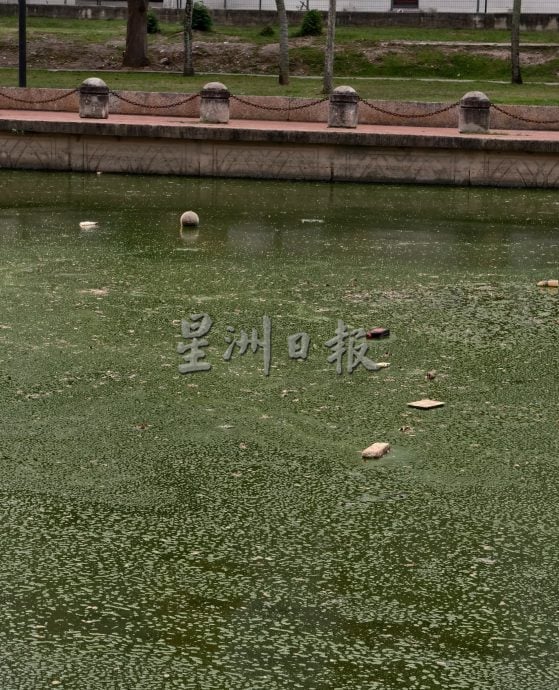 （古城封面主文）甲河污染问题引发关注
