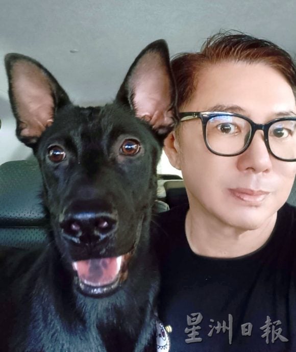 小黄与奶茶的爱!