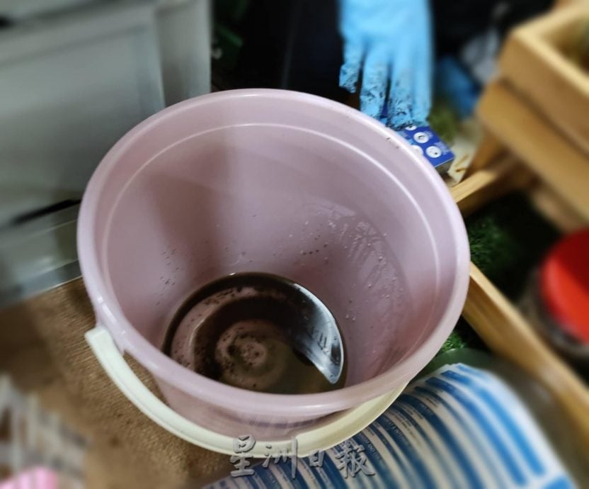 绿量：中学蚓粪堆肥计划