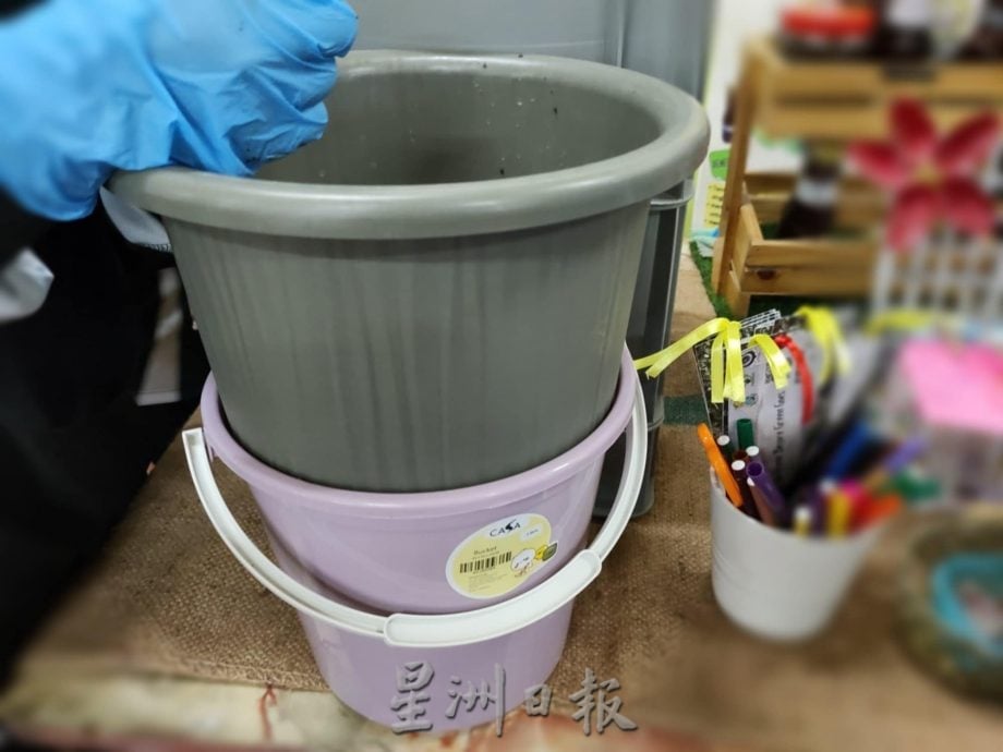 绿量：中学蚓粪堆肥计划