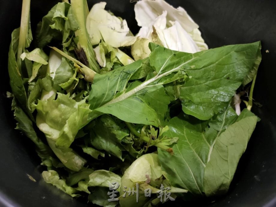 绿量：中学蚓粪堆肥计划