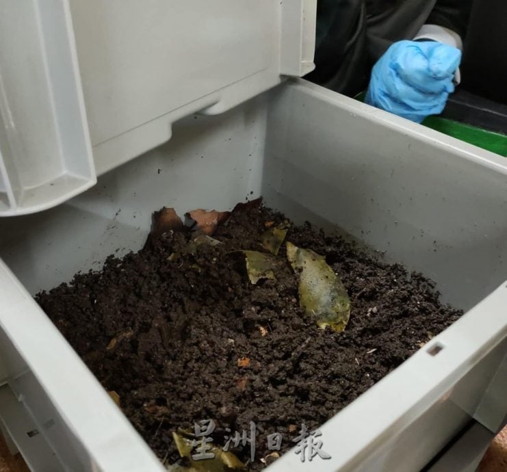 绿量：中学蚓粪堆肥计划