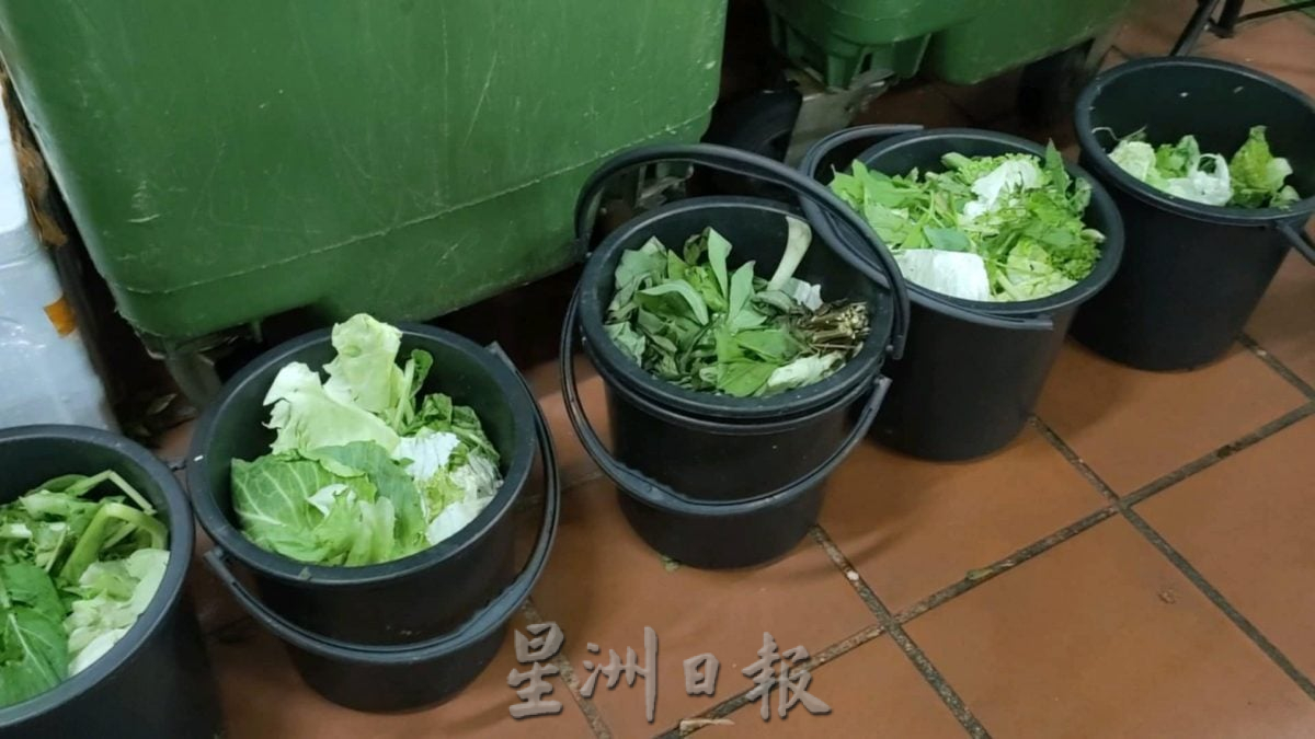 绿量：中学蚓粪堆肥计划